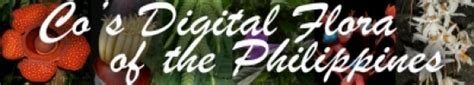 co's digital flora